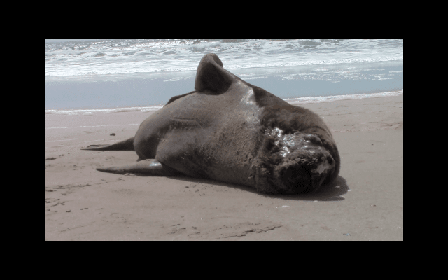 Still Short Film Regarde le nom des rues 4