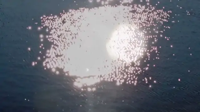 Still The sound of the falling heart 4